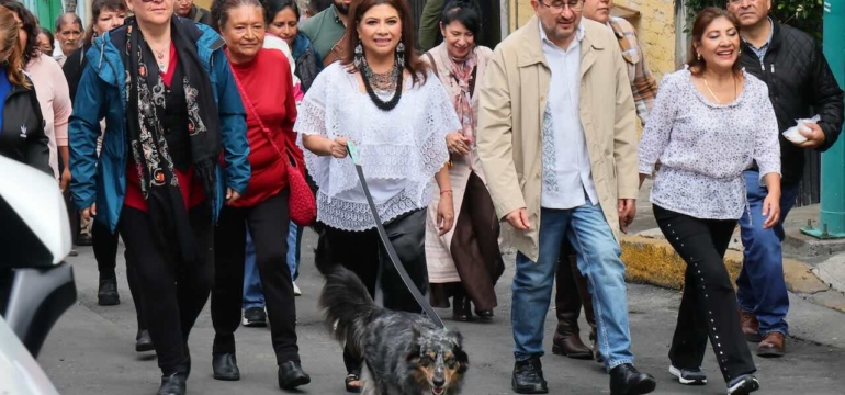 Brugada emite su voto