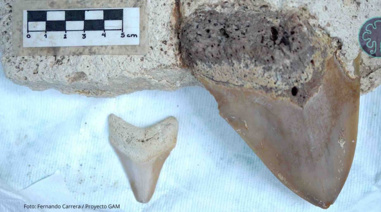 Añadir un poco de texto - 1